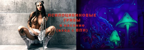гидра Кинешма