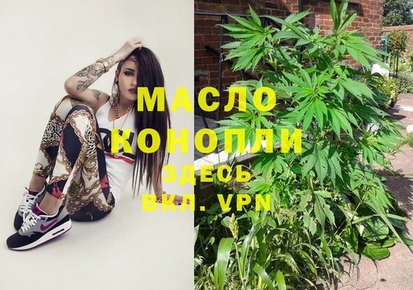 гидра Кинешма