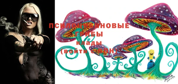 гидра Кинешма